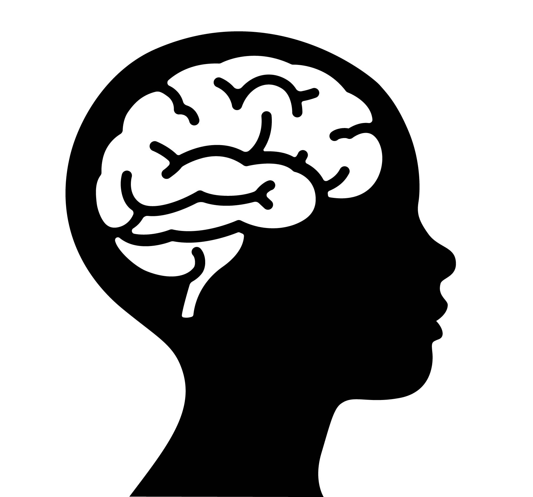 Executive functioning evaluation and practical support